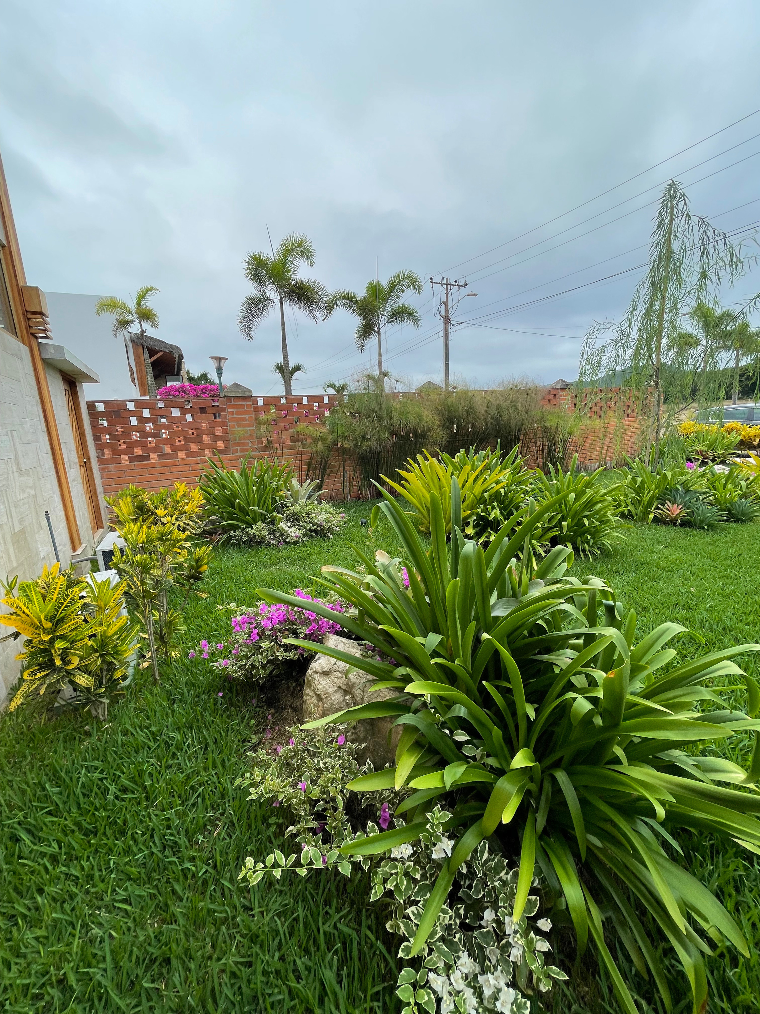 Mantenimiento de Jardines