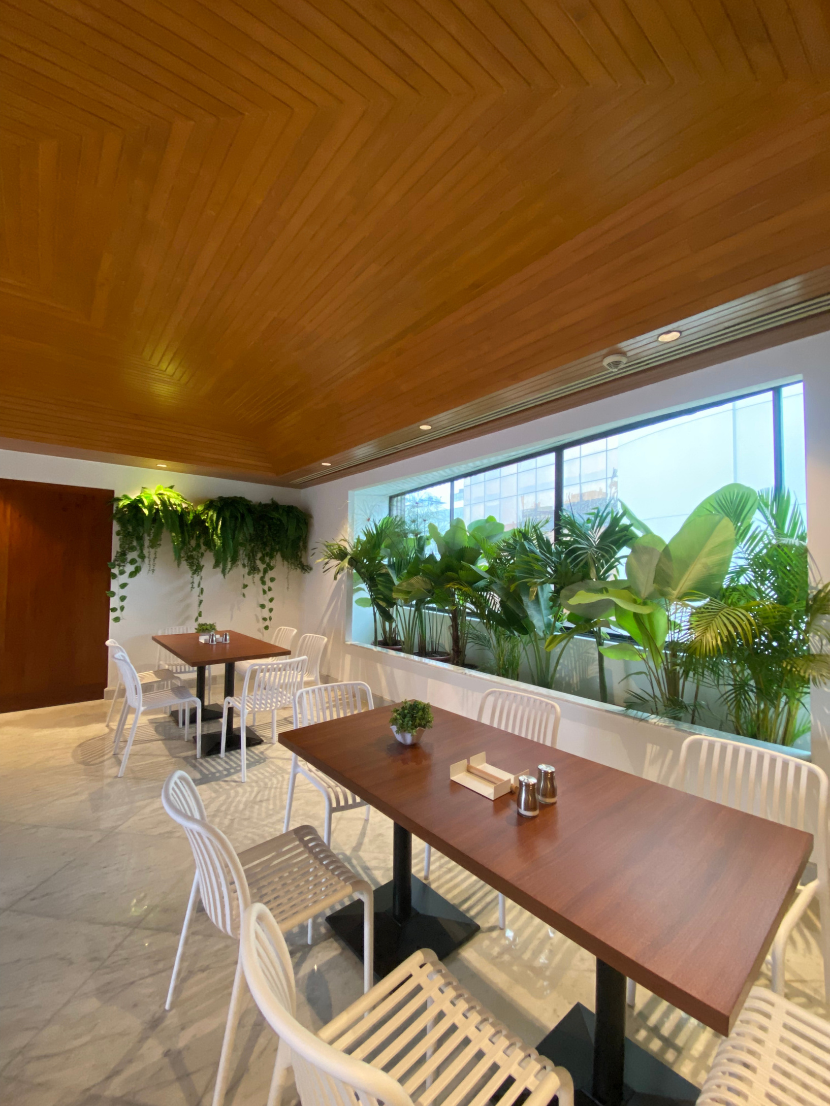 Terraza Seguros Cóndor